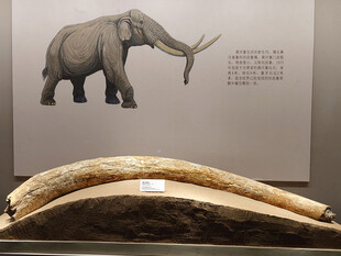 运城博物馆文物