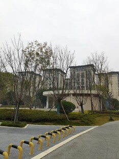 小区外道路及周边建筑景观