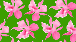 粉色兰花绿色背景图案