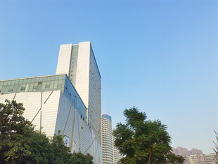 现代高楼与周边绿植景观