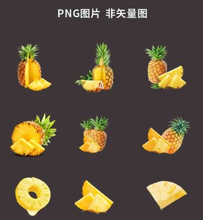 菠萝素材