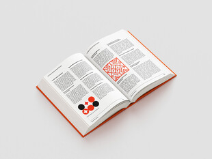 翻开的书页书籍展示样机