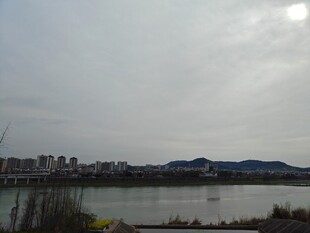 河畔城市风光远眺