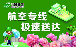 航空专线极速送达花卉