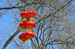 红灯笼 