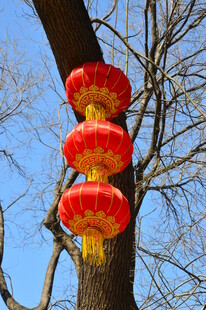 红灯笼  