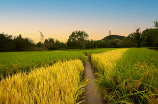 北京玉东郊野公园