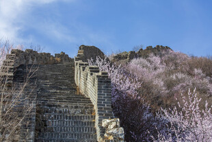 北京怀柔慕田峪长城花海