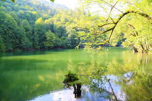 青山绿水间的静谧湖泊