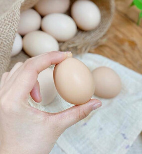 鸡蛋