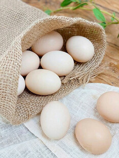 鸡蛋