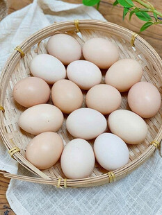 鸡蛋