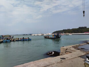 宁静海港 船只停泊景象