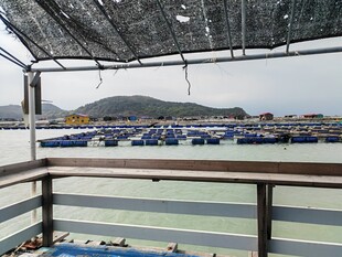 海上渔排景观
