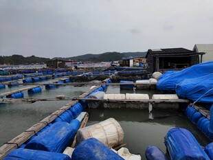 海上蓝色养殖浮排景观