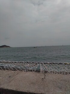 海边景象 海鸟立于岸边