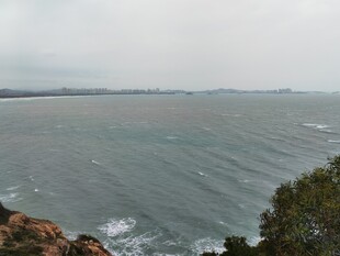 海边景致 海浪与绿植相伴