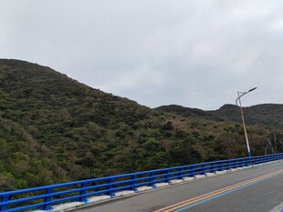 山间蓝栏公路风景