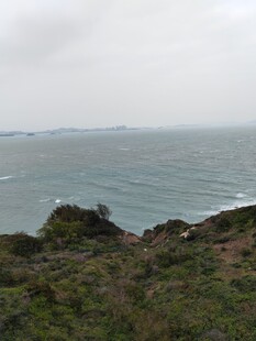 俯瞰海景与岸边绿植