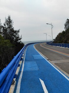 蓝色骑行道 伴绿植风光