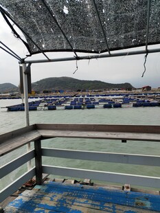 海上码头船只景观