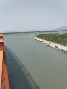 俯瞰水域与岸边景观