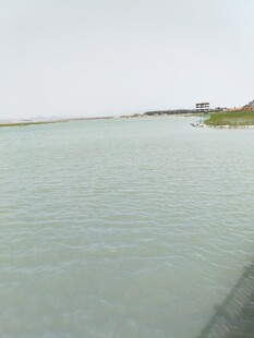 宁静水边景致