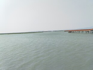 东山岛栈桥景观