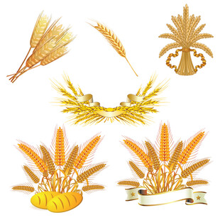 金色麦穗装饰素材集合