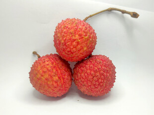 三颗饱满荔枝