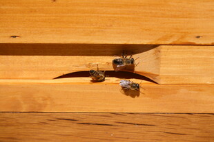 木头上的金属连接件