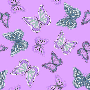 紫色背景蝴蝶图案纹理