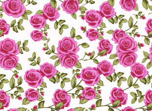 粉色玫瑰花卉图案背景