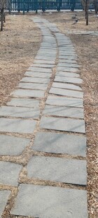 石板小径静谧自然之景