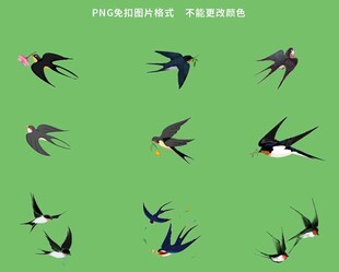 燕子素材