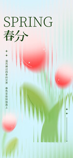 春分时节的美丽郁金香