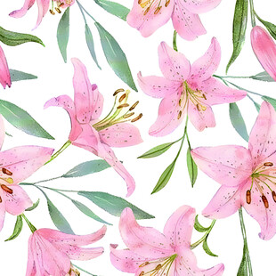 粉色百合花水彩花卉图案