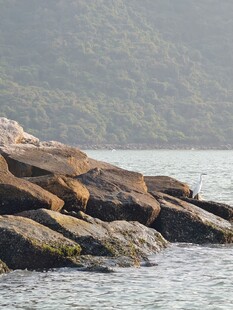 海边嶙峋礁石景观