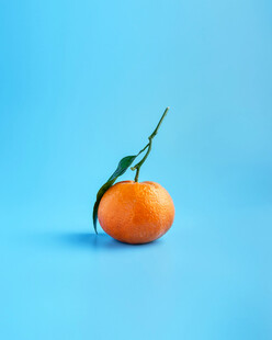 鲜橙