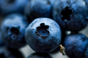 蓝莓