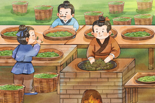炒茶水彩插画