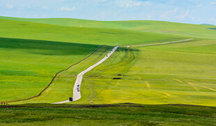 呼伦贝尔大草原上的公路