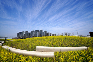 杭州市钱塘区东沙湖公园