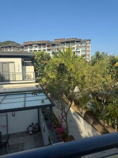 阳台外的城市与绿树景观