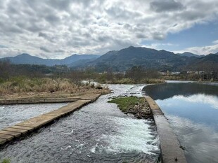山间河畔木栈道风景