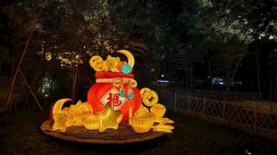 喜庆老虎造型夜间景观