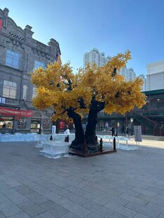 街头金黄大树景观