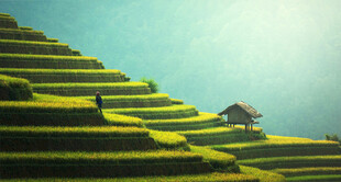 山间梯田美景