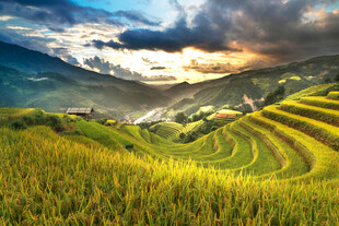 山间梯田美景