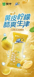 黄皮柠檬味脆爽雪糕  夏季海报